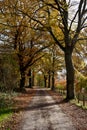 Country road woods autumn, Ardens, Wallonia, Belgium Royalty Free Stock Photo