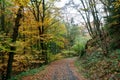 Country road woods autumn, Ardens, Wallonia, Belgium Royalty Free Stock Photo