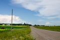 Country roads and vibrant yellow canola fields in rural Manitoba, Canada