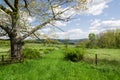 Country Scene, Hudson Valley, NY. Royalty Free Stock Photo