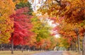 Country side in Australia Royalty Free Stock Photo