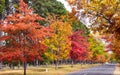 Country side in Australia Royalty Free Stock Photo