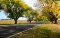 Country side in Australia Royalty Free Stock Photo