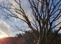 Country side beautifl sky views amazing trees clouds sun