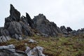 Large and spicky rocks on a hill in Ireland