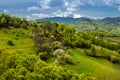 Country side landscape in Transylvania in the spring time with boomed trees , snow on the mountains in the background Romania