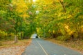 Country side road Royalty Free Stock Photo