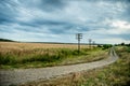 Country side roads. Drought Disaster. Bad Corn. Corn Field. Agronomy, harvest. Royalty Free Stock Photo