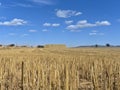 Country side view with empty road, blue sky and white cotton clouds Royalty Free Stock Photo