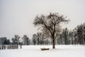 Country side village landscape Royalty Free Stock Photo