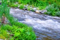 country side wild river stream true the forest