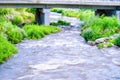 country side wild river stream true the forest