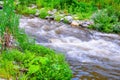 country side wild river stream true the forest