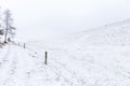 Open winter landscape with snow and hills Royalty Free Stock Photo