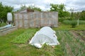 The country site with a hotbed and the greenhouse. Spring