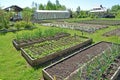 The country site with a kitchen garden and the greenhouse in the spring Royalty Free Stock Photo