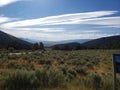 Country sky desert plants wide open spaces Royalty Free Stock Photo