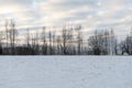 Country snowy road in winter Royalty Free Stock Photo