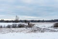 Country snowy road in winter Royalty Free Stock Photo