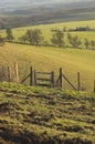 Country stile Royalty Free Stock Photo