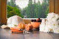 Country still life. The harvest from the garden - cherries, peaches. Chrysanthemum flowers, garden tools and summer hat on the Royalty Free Stock Photo