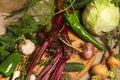 Country Still Life with Vegetables