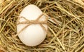 Country style easter egg in hay with bowknot