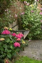 Country-style garden with bench