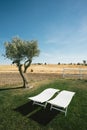 Country Tourism Lounge Chairs and Tree Portrait