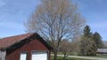 Country tree and garage.