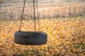 Country Tree Swing