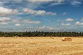 Hay Bales in Rural Norfolk Royalty Free Stock Photo