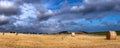 Hay Bales in Rural Norfolk Panorama Royalty Free Stock Photo