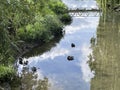 a country view over a still river