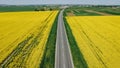 Country, way on spring field of yellow rapes flowers, rape. Blue sunny sky with clouds. Landscape backgrounds. Ukraine, Europe. Royalty Free Stock Photo