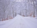Country winding road in the winter Royalty Free Stock Photo