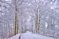 Country winding road in the winter Royalty Free Stock Photo