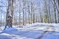 Country winding road in the winter Royalty Free Stock Photo