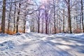 Country winding road in the winter