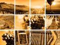 Country wine collage vintage style Royalty Free Stock Photo