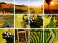 Country wine collage Royalty Free Stock Photo