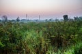 Countryfield on twilight