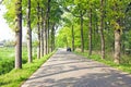 Countryroad in Netherlands Royalty Free Stock Photo