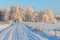 Countryroad at winter Royalty Free Stock Photo