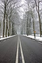 Countryroad in wintertime