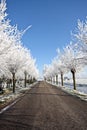 Countryroad in wintertime Royalty Free Stock Photo