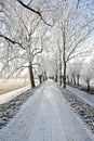 Countryroad in wintertime Royalty Free Stock Photo