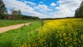 Countryroad with yellow rapefields and red farmhouses