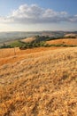 Italian Countryside Landscape Royalty Free Stock Photo