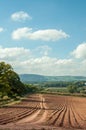 Agricultural scenery in the summertime of the English countryside.